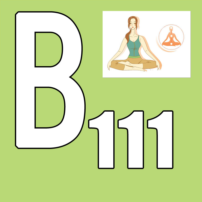 Yoga Fitness Group - Gran Oferta Último Lanzamiento 2026.Q1 Nuevo